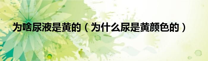 為啥尿液是黃的（為什么尿是黃顏色的）