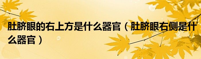 肚臍眼的右上方是什么器官(肚臍眼右側(cè)是什么器官)