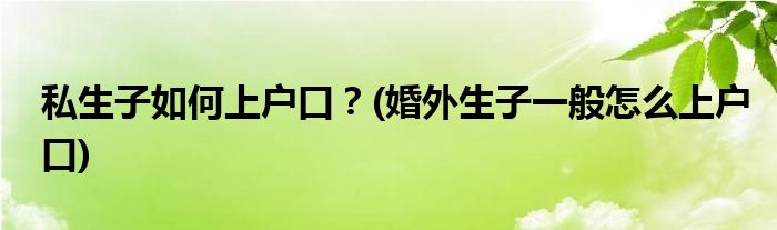 私生子如何上戶口？(婚外生子一般怎么上戶口)
