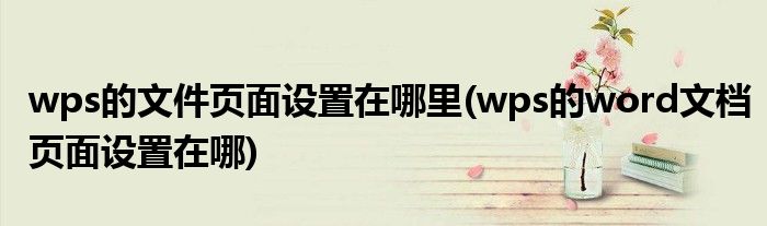 wps的文件頁面設(shè)置在哪里(wps的word文檔頁面設(shè)置在哪)