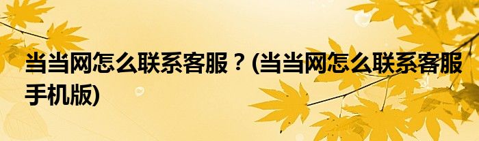 當(dāng)當(dāng)網(wǎng)怎么聯(lián)系客服？(當(dāng)當(dāng)網(wǎng)怎么聯(lián)系客服手機(jī)版)
