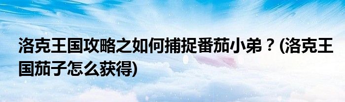洛克王國(guó)攻略之如何捕捉番茄小弟？(洛克王國(guó)茄子怎么獲得)