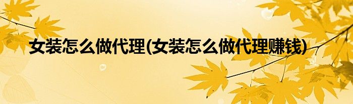 女裝怎么做代理(女裝怎么做代理賺錢)