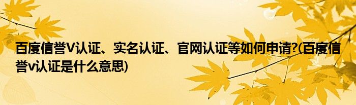 百度信譽V認(rèn)證、實名認(rèn)證、官網(wǎng)認(rèn)證等如何申請?(百度信譽v認(rèn)證是什么意思)