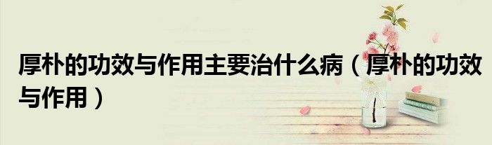 厚樸的功效與作用主要治什么病（厚樸的功效與作用）