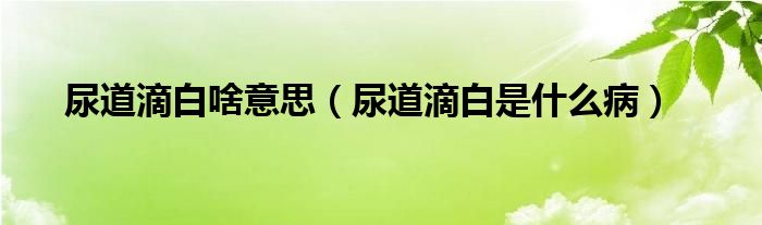 尿道滴白啥意思（尿道滴白是什么?。? /></span>
		<span id=