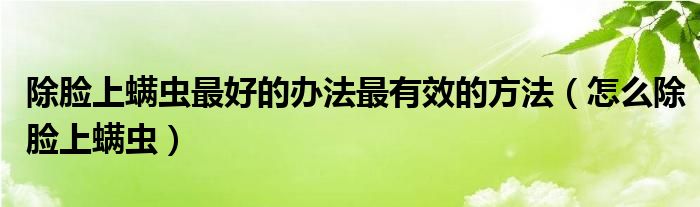 除臉上螨蟲最好的辦法最有效的方法（怎么除臉上螨蟲）