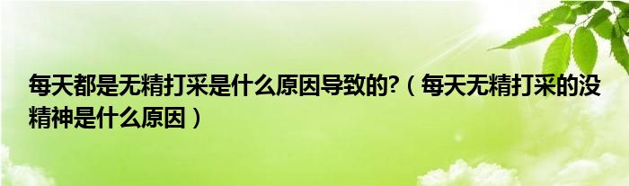 每天都是無精打采是什么原因?qū)е碌?(每天無精打采的沒精神是什么原因)