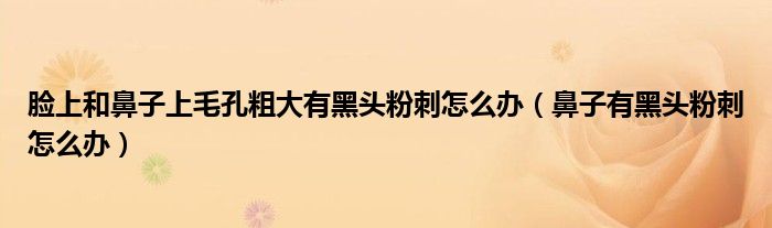 臉上和鼻子上毛孔粗大有黑頭粉刺怎么辦（鼻子有黑頭粉刺怎么辦）