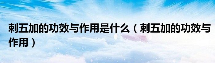 刺五加的功效與作用是什么(刺五加的功效與作用)