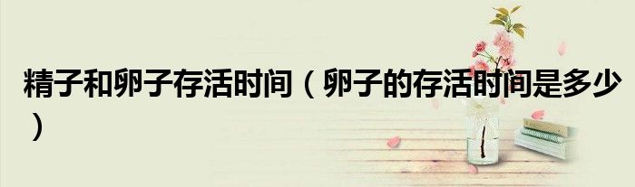 精子和卵子存活時(shí)間(卵子的存活時(shí)間是多少)