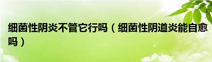 細(xì)菌性陰炎不管它行嗎(細(xì)菌性陰道炎能自愈嗎)