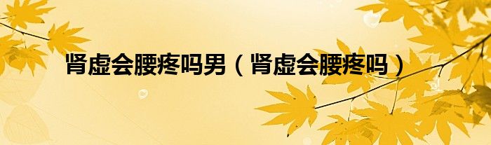 腎虛會腰疼嗎男(腎虛會腰疼嗎)