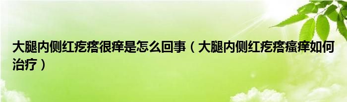 大腿內(nèi)側(cè)紅疙瘩很癢是怎么回事(大腿內(nèi)側(cè)紅疙瘩瘙癢如何治療)
