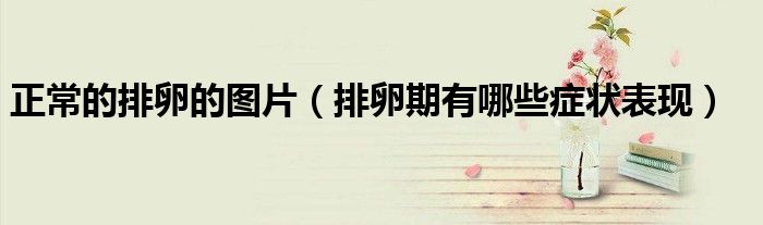正常的排卵的圖片(排卵期有哪些癥狀表現(xiàn))