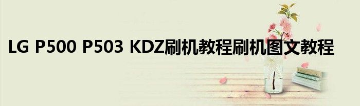 LG P500 P503 KDZ刷機(jī)教程刷機(jī)圖文教程