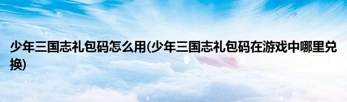 少年三國志禮包碼怎么用(少年三國志禮包碼在游戲中哪里兌換)