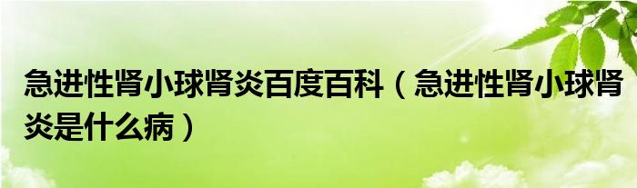 急進(jìn)性腎小球腎炎百度百科（急進(jìn)性腎小球腎炎是什么?。? /></span>
		<span id=