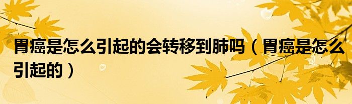 胃癌是怎么引起的會轉移到肺嗎（胃癌是怎么引起的）