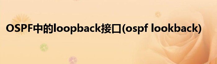 OSPF中的loopback接口(ospf lookback)