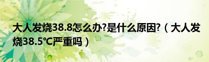 大人發(fā)燒38.8怎么辦?是什么原因?(大人發(fā)燒38.5℃嚴重嗎)