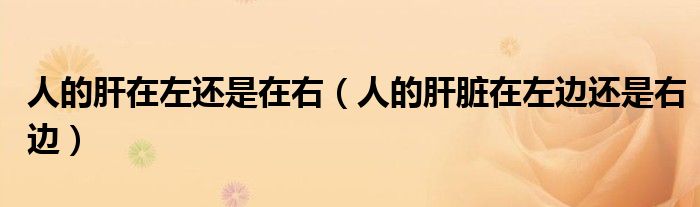 人的肝在左還是在右（人的肝臟在左邊還是右邊）