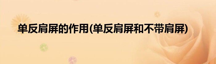 單反肩屏的作用(單反肩屏和不帶肩屏)