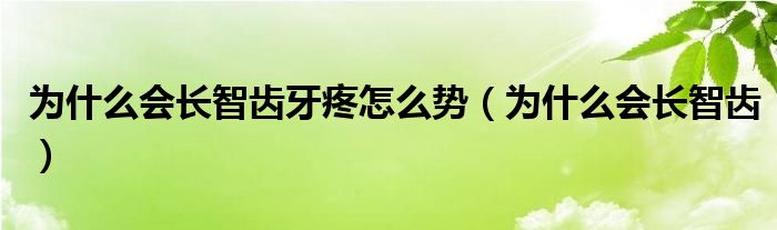 為什么會(huì)長(zhǎng)智齒牙疼怎么勢(shì)（為什么會(huì)長(zhǎng)智齒）