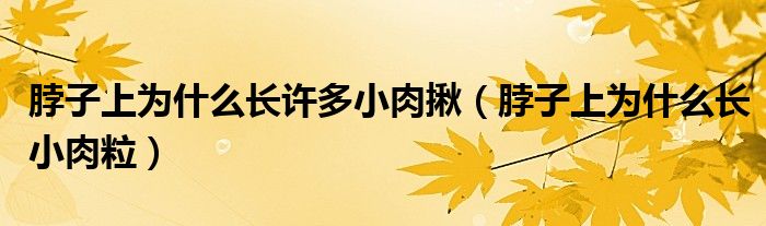 脖子上為什么長(zhǎng)許多小肉揪(脖子上為什么長(zhǎng)小肉粒)