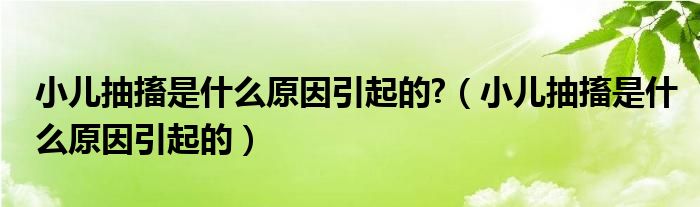 小兒抽搐是什么原因引起的?(小兒抽搐是什么原因引起的)