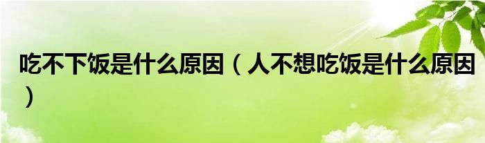 吃不下飯是什么原因（人不想吃飯是什么原因）