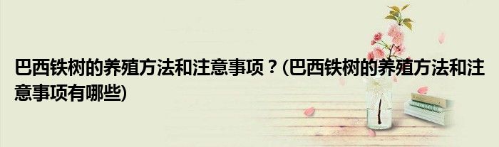 巴西鐵樹的養(yǎng)殖方法和注意事項(xiàng)？(巴西鐵樹的養(yǎng)殖方法和注意事項(xiàng)有哪些)