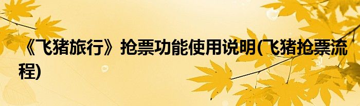《飛豬旅行》搶票功能使用說(shuō)明(飛豬搶票流程)