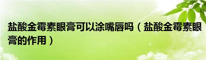 鹽酸金霉素眼膏可以涂嘴唇嗎(鹽酸金霉素眼膏的作用)