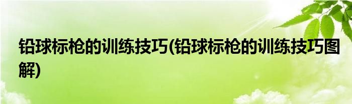 鉛球標槍的訓練技巧(鉛球標槍的訓練技巧圖解)