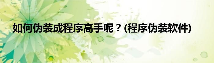 如何偽裝成程序高手呢？(程序偽裝軟件)