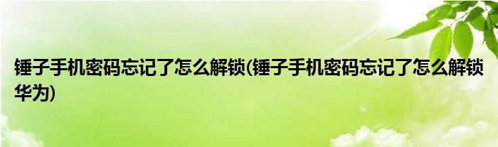 錘子手機(jī)密碼忘記了怎么解鎖(錘子手機(jī)密碼忘記了怎么解鎖華為)