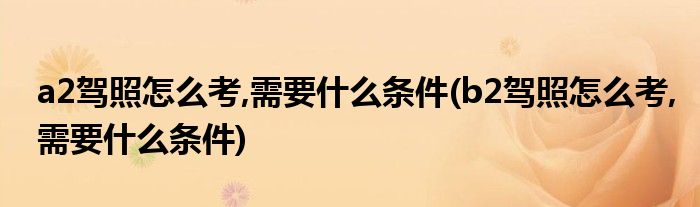 a2駕照怎么考,需要什么條件(b2駕照怎么考,需要什么條件)
