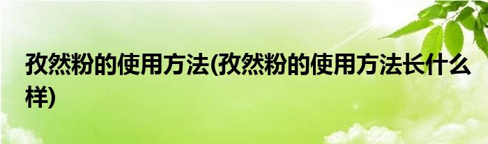 孜然粉的使用方法(孜然粉的使用方法長什么樣)