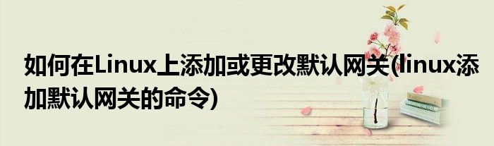 如何在Linux上添加或更改默認網(wǎng)關(linux添加默認網(wǎng)關的命令)