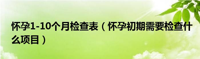 懷孕1-10個(gè)月檢查表(懷孕初期需要檢查什么項(xiàng)目)