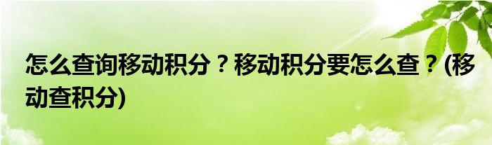 怎么查詢移動(dòng)積分？移動(dòng)積分要怎么查？(移動(dòng)查積分)