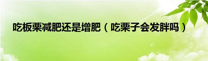 吃板栗減肥還是增肥(吃栗子會(huì)發(fā)胖嗎)