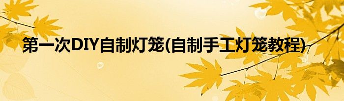 第一次DIY自制燈籠(自制手工燈籠教程)