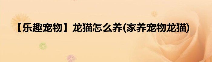 【樂趣寵物】龍貓怎么養(yǎng)(家養(yǎng)寵物龍貓)