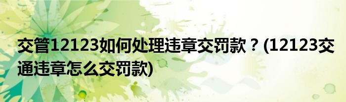 交管12123如何處理違章交罰款？(12123交通違章怎么交罰款)