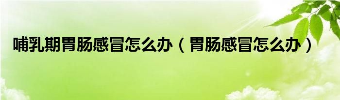 哺乳期胃腸感冒怎么辦(胃腸感冒怎么辦)