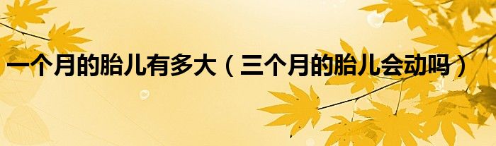 一個(gè)月的胎兒有多大(三個(gè)月的胎兒會(huì)動(dòng)嗎)