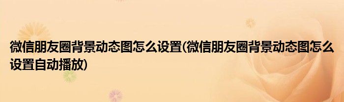 微信朋友圈背景動態(tài)圖怎么設(shè)置(微信朋友圈背景動態(tài)圖怎么設(shè)置自動播放)