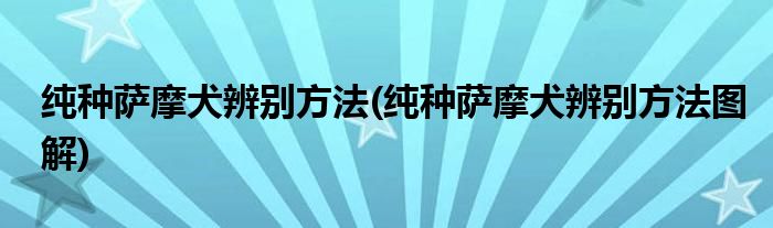 純種薩摩犬辨別方法(純種薩摩犬辨別方法圖解)